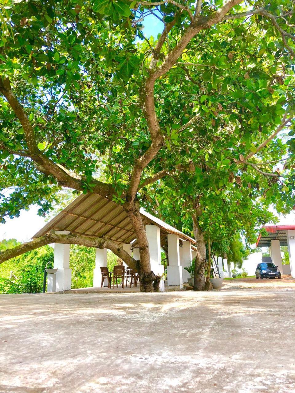 Riverside Hotel Katunayaka Exterior foto